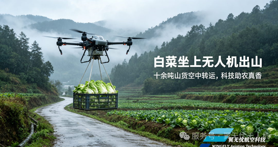 玉溪菜农用上无人机运白菜！十余吨山货 “空中出山”，科技助农真香，低空